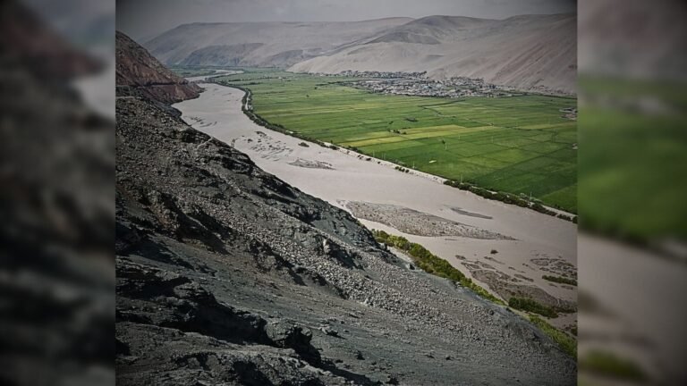 Diseño sin título (12)