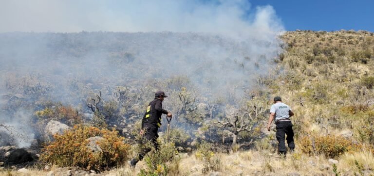 WhatsApp Image 2024-08-07 at 15.50