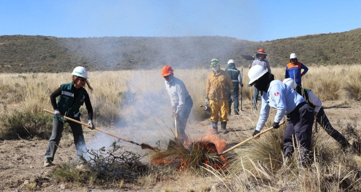 Serfor forma brigadistas para prevenir incendios forestales