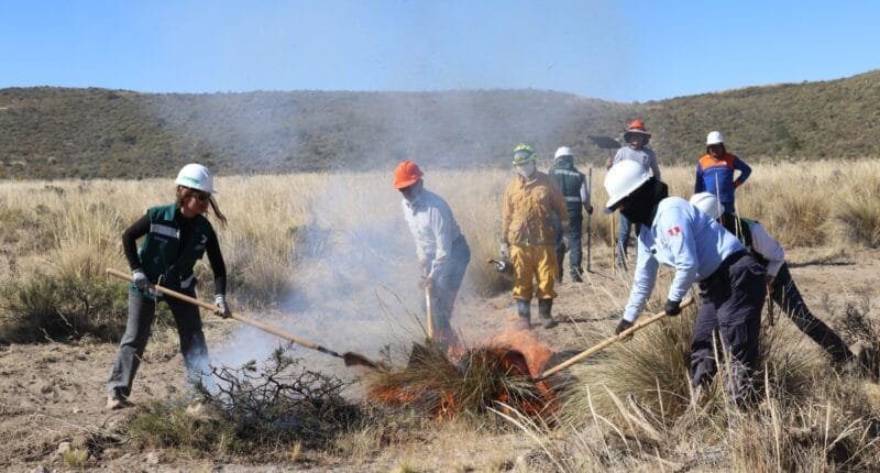 Serfor forma brigadistas para prevenir incendios forestales
