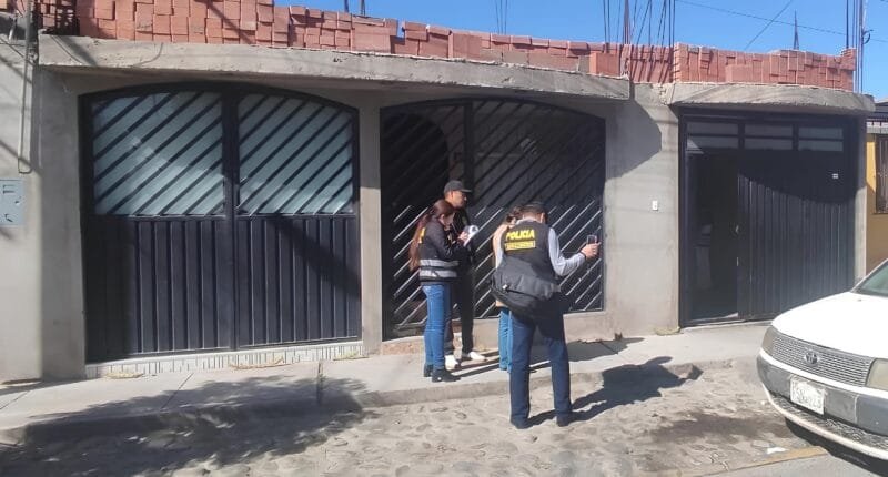 Allanan tres viviendas en Hunter por pornografía infantil