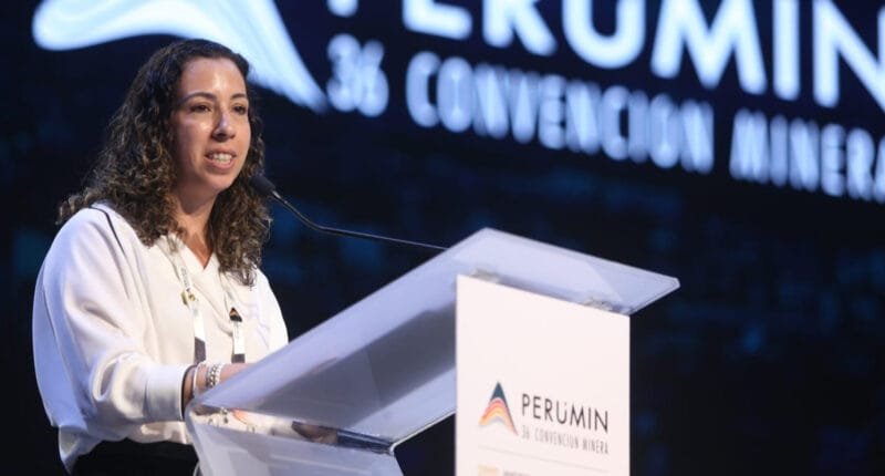 Jimena Sologuren: “Minería ilegal amenaza al país”