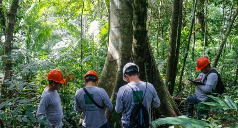 genoma del arbol tornillo