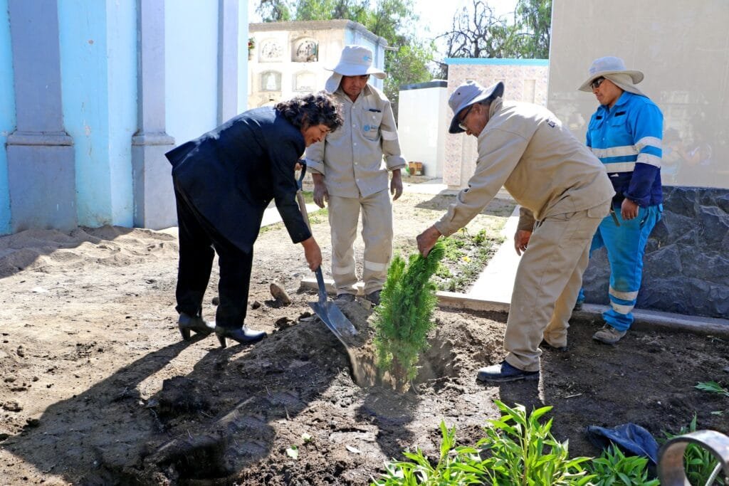En el Cementerio La Apacheta se han sembrado 150 árboles e instalado un sistema de seguridad.