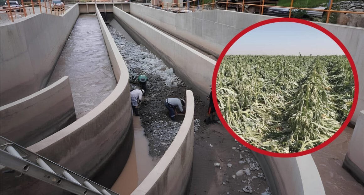 Séptimo corte de agua en Majes afecta sobremanera a agricultores