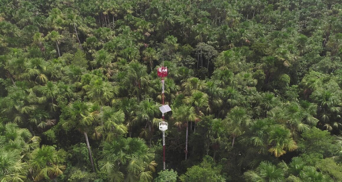 Humedales tropicales degradados emiten gases de efecto invernadero