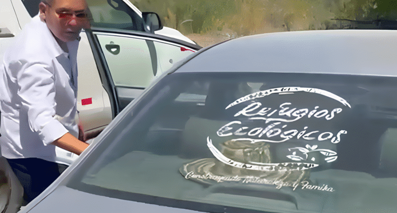 Denuncian a Refugios Ecológicos por presunta usurpación de predio en Vallecito