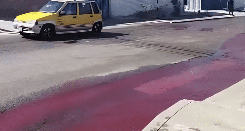 Camal clandestino provocó tras aguas rojas en Cerro Colorado