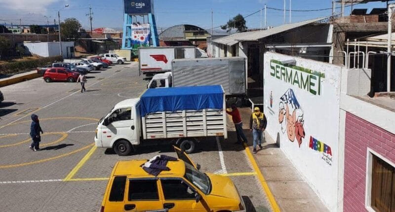Matadero Municipal no registró contratos por más de S/ 1.7 mllns