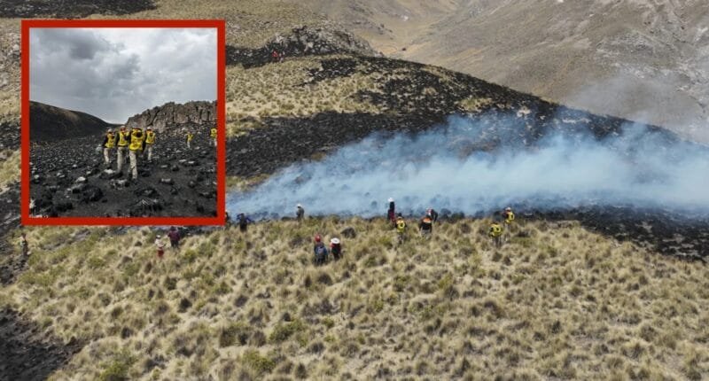 Incendio en Tisco arrasa 300 hectáreas de pastizales