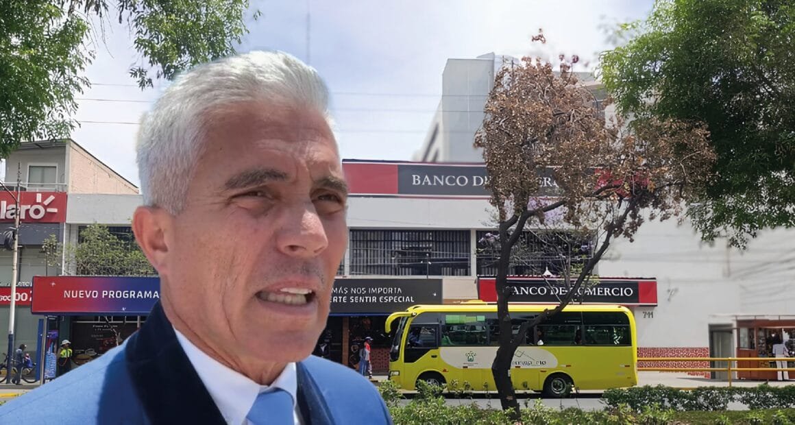 Murió árbol trasplantado por gestión de Sergio Bolliger