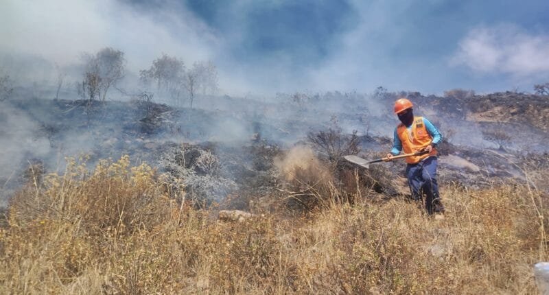Incendio arrasa más de 100 hectáreas en Cotahuasi