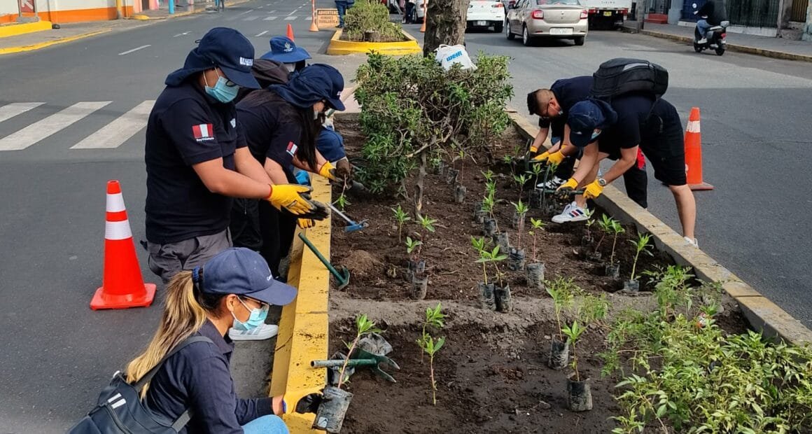MPA planta mil mioporos en la Mariscal Castilla