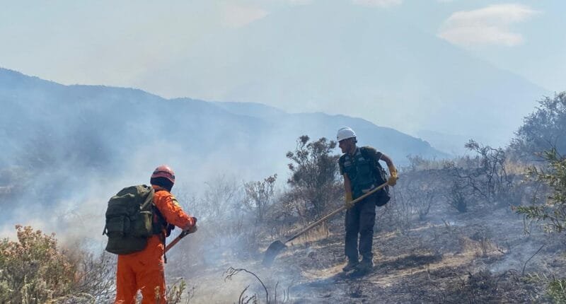 Incendio en el Misti comprometí 350 hectáreas de fauna silvestre