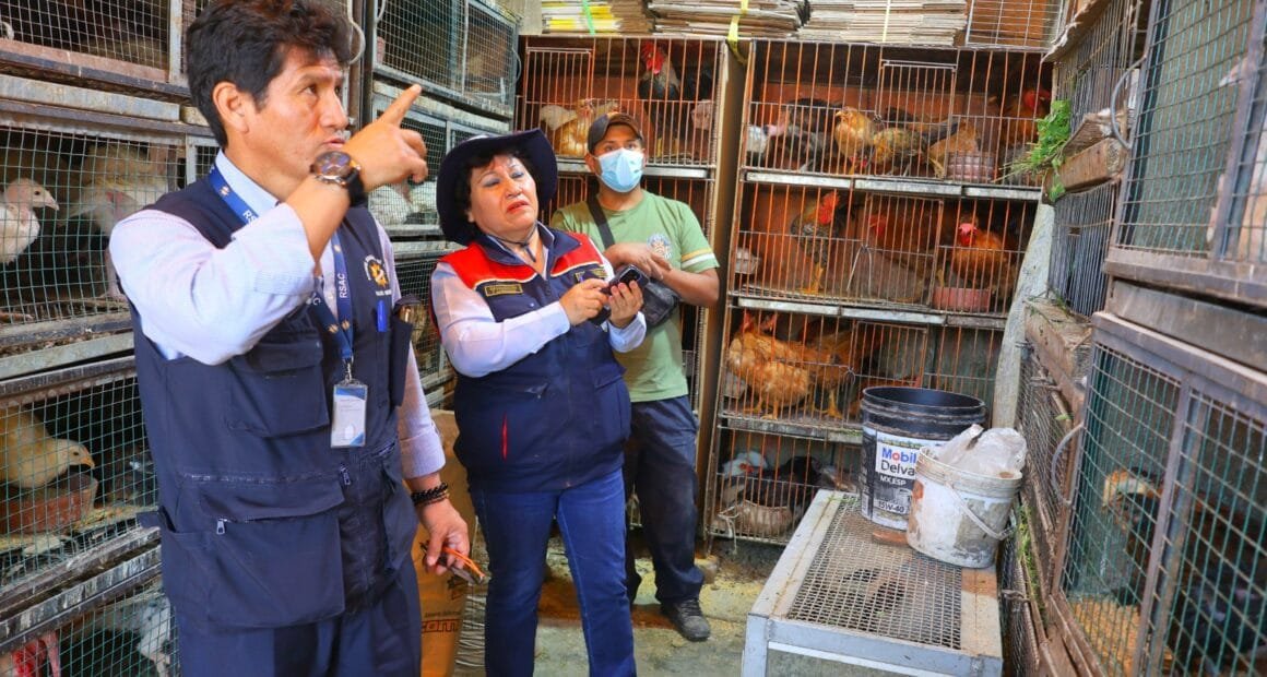 Bustamante intensifica control contra venta ilegal de animales