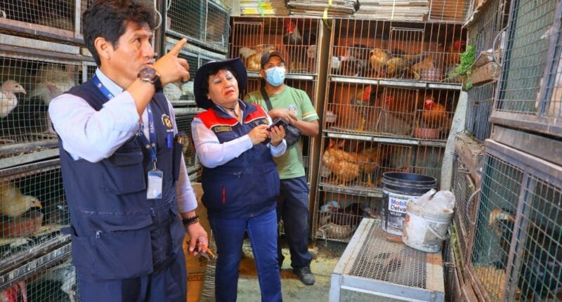 Bustamante intensifica control contra venta ilegal de animales