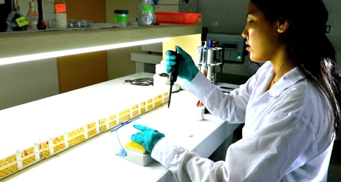 Estudio descubre potencial farmacológico en plantas amazónicas