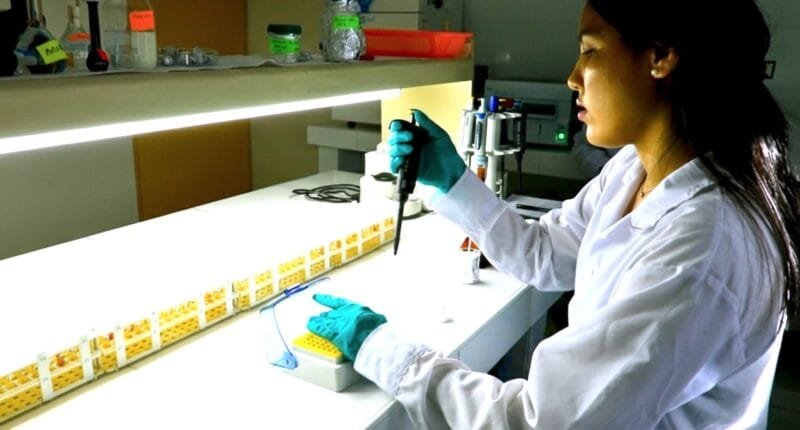 Estudio descubre potencial farmacológico en plantas amazónicas