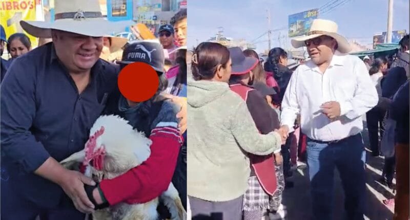 Animalistas denunciarán a candidatos del "Pollito" por maltrato animal