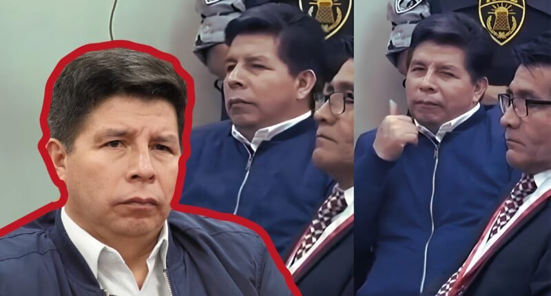 Apuntes Jurídicos: La sentencia de Pedro Castillo