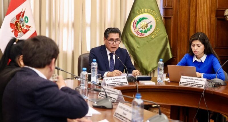 Comisión aprueba ampliar Reinfo hasta el 2027