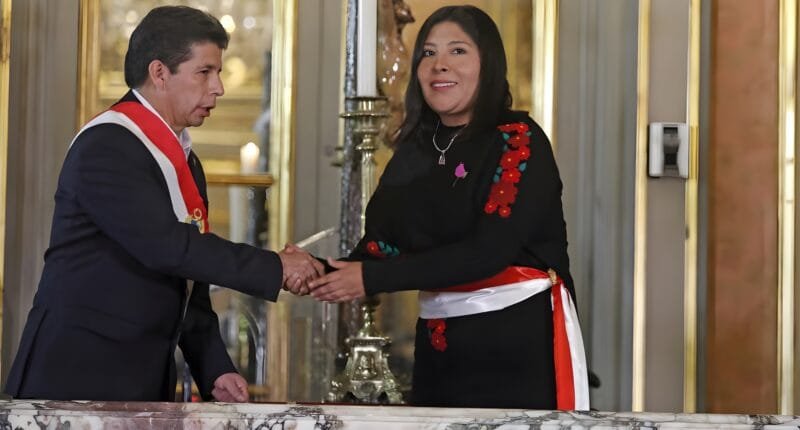 Apuntes jurídicos: El caso Pedro Castillo