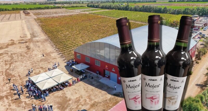 Autodema: se pierden miles de litros de vino por valor de S/ 227 mil