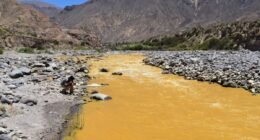 Río Tambo vuelve a teñirse de amarillo