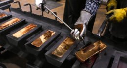 Plantas auríferas emergen como eje clave de formalización