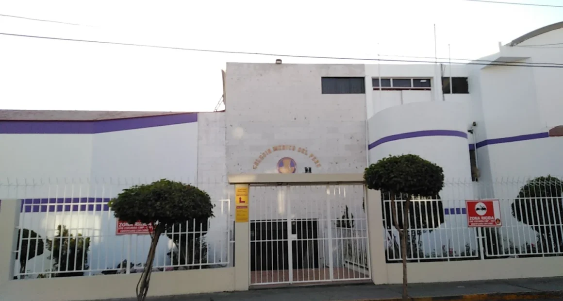 Colegio Médico anuncia plataforma para denunciar a falsos galenos