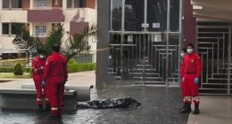 Meditaciones arequipeñas: Ser responsable