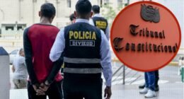 TC anula Ley que permitía juzgar a jovenes de 16 y 17 años como adultos