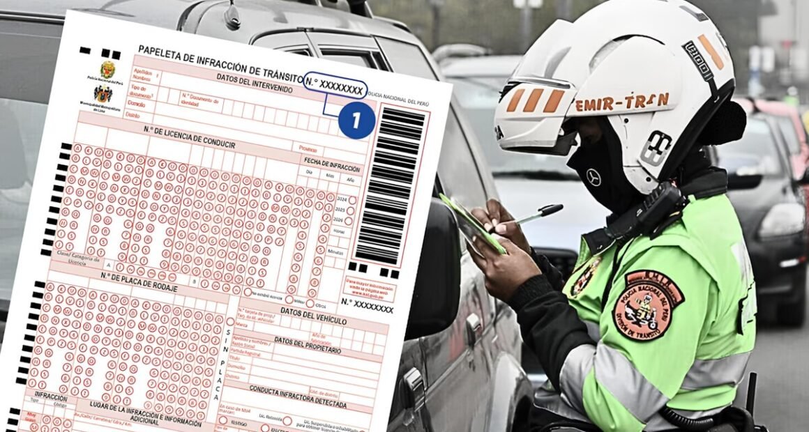 MTC flexibiliza sistema de puntos en licencias